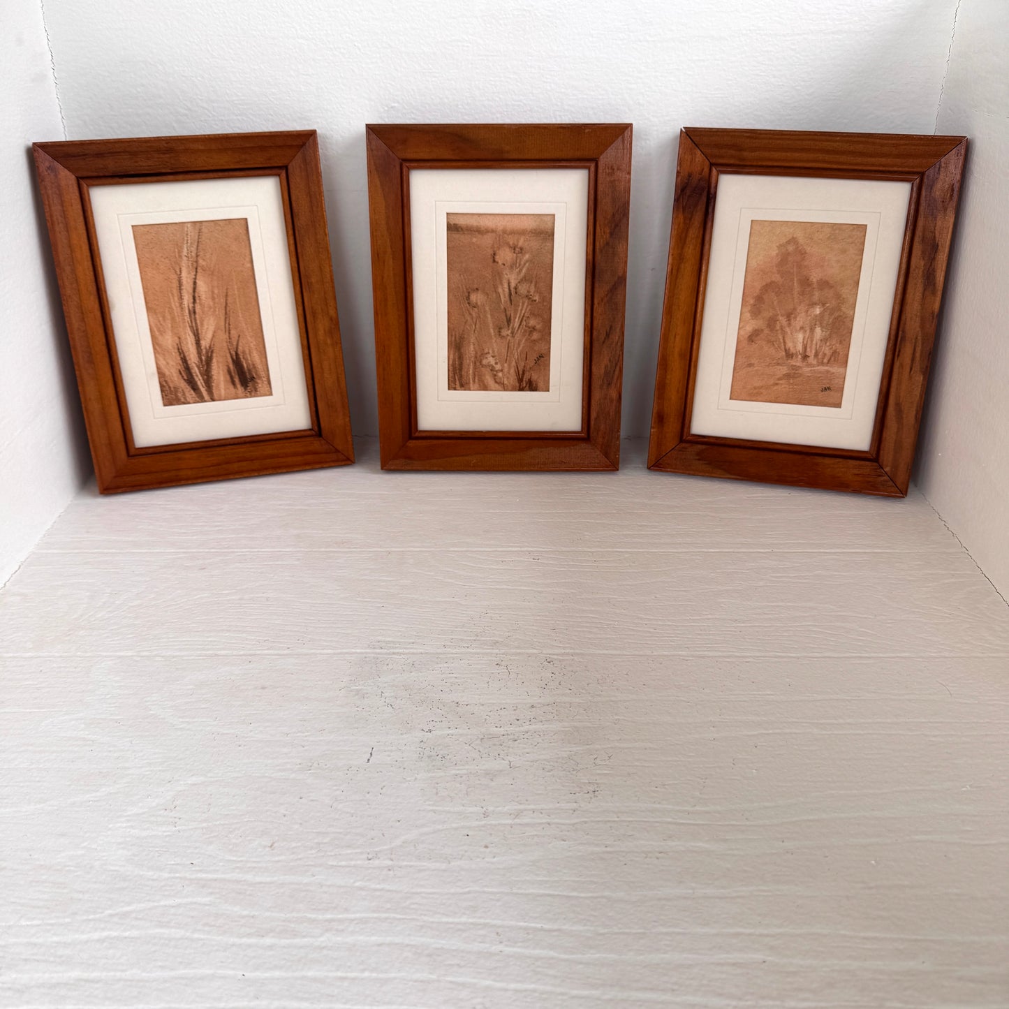 Vintage Sepia Botanical Mini Art Set of 3 Framed Nature Sketches