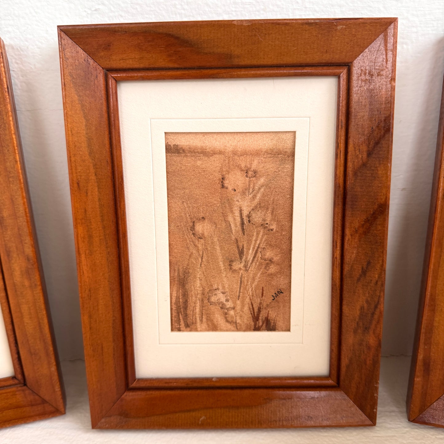 Vintage Sepia Botanical Mini Art Set of 3 Framed Nature Sketches