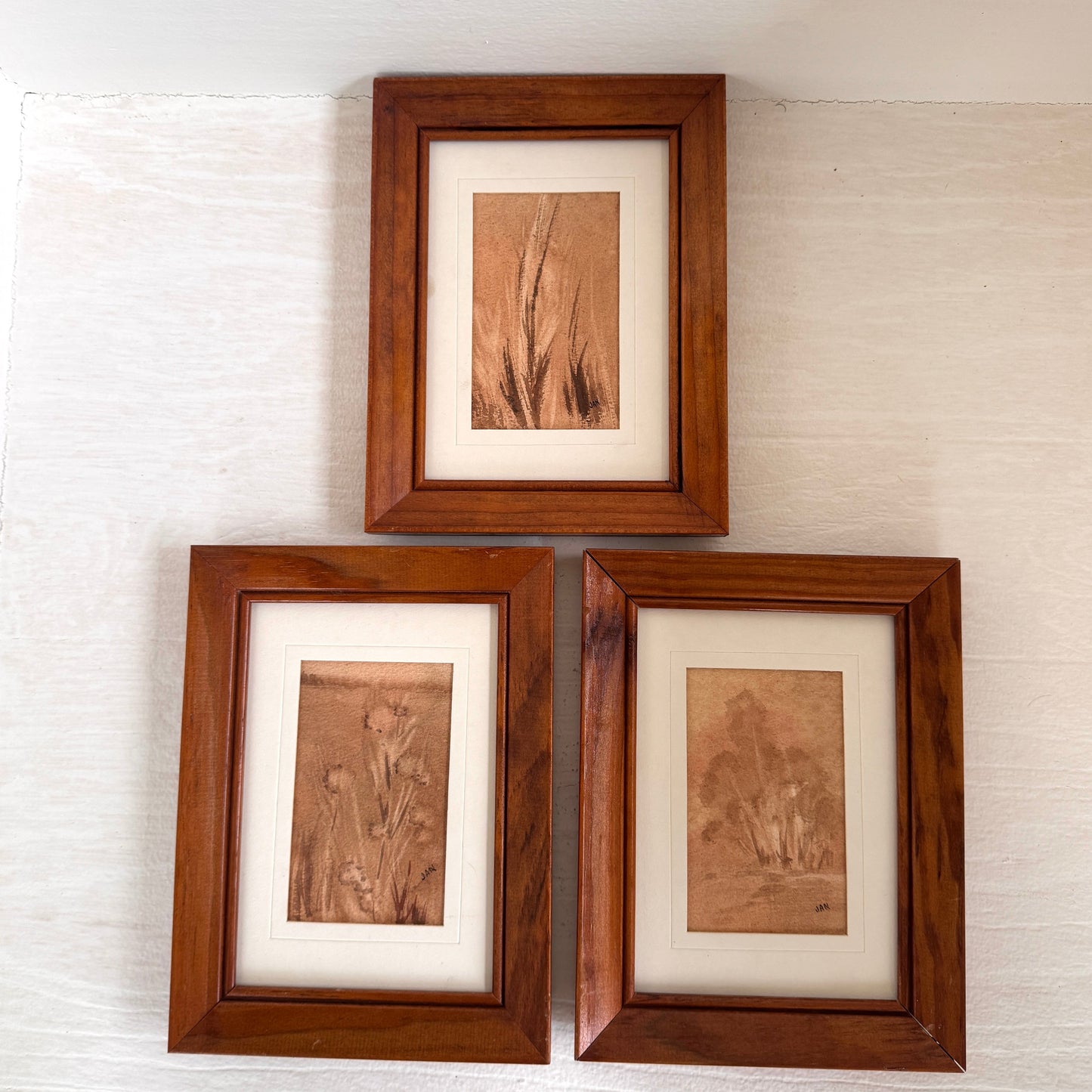 Vintage Sepia Botanical Mini Art Set of 3 Framed Nature Sketches