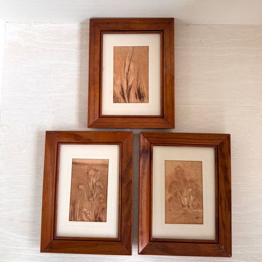 Vintage Sepia Botanical Mini Art Set of 3 Framed Nature Sketches